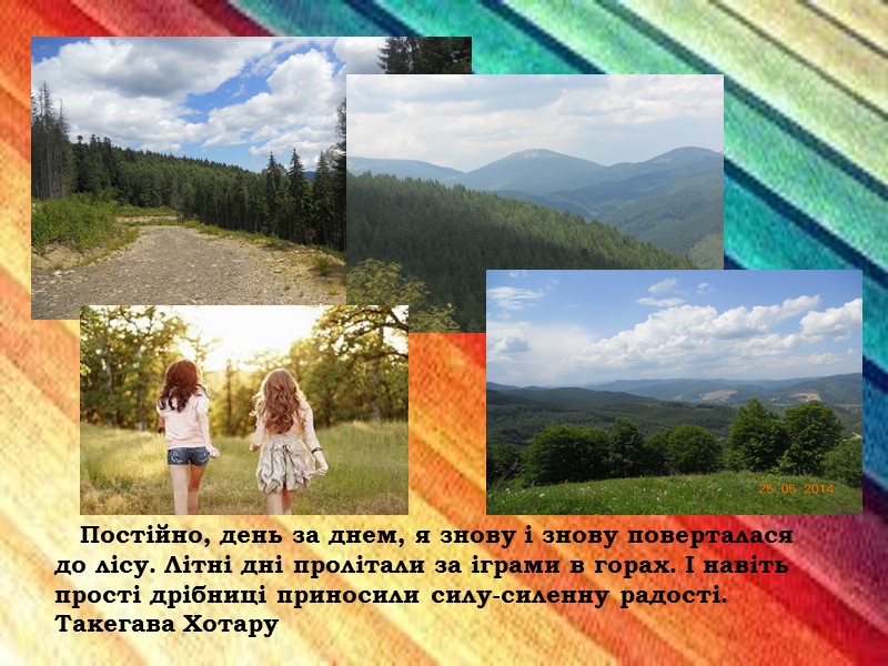 Постійно, день за днем, я знову і знову поверталася до лісу. Літні дні пролітали